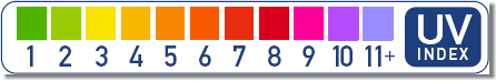 UV Index Scale
